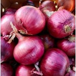 Прімула F1 10000 насіння червоної озимої цибулі, Libra Seeds, Італія
